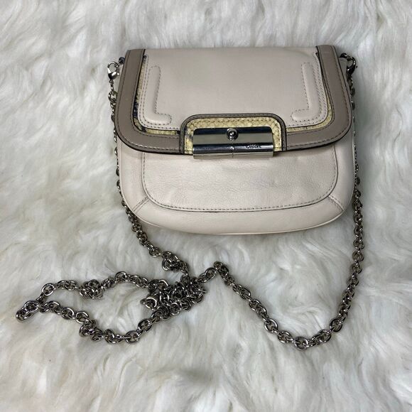 Coach Kristin Spector Silver G Python Crossbody - Picture 1 of 12
